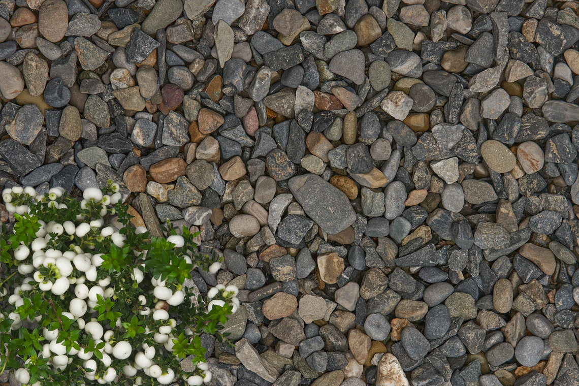 Driveway Pebble 14mm decorative stone