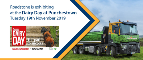 Roadstone at Dairy Day in Punchestown